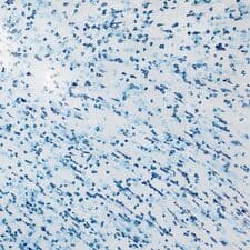 Monet, Plastiz srl, Furniture, Plastic Furniture, euroPlux.com