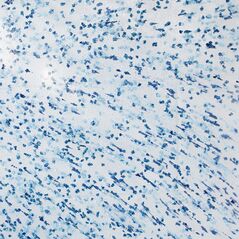 Monet, Plastiz srl, Furniture, Plastic Furniture, euroPlux.com
